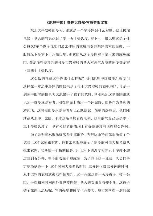 地理中国奇趣大自然雪原奇观文案