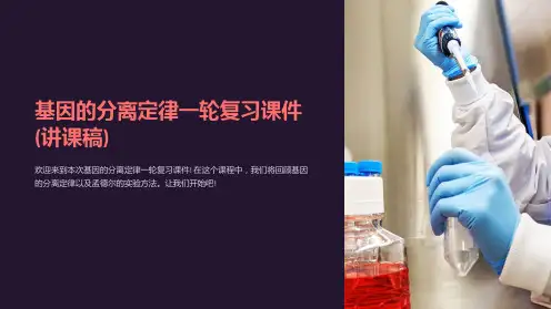 基因的分离定律一轮复习课件(讲课稿)