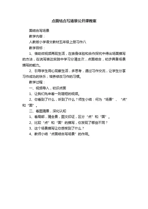 点面结合写场景公开课教案