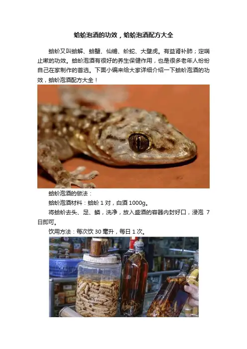 蛤蚧泡酒的功效，蛤蚧泡酒配方大全