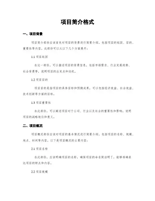 项目简介格式
