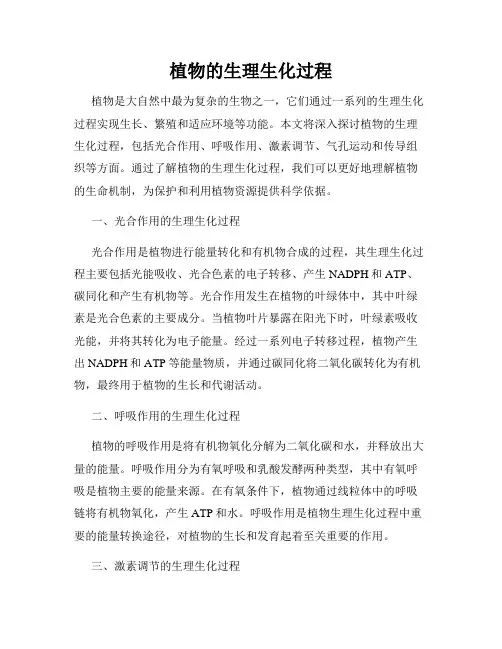 植物的生理生化过程