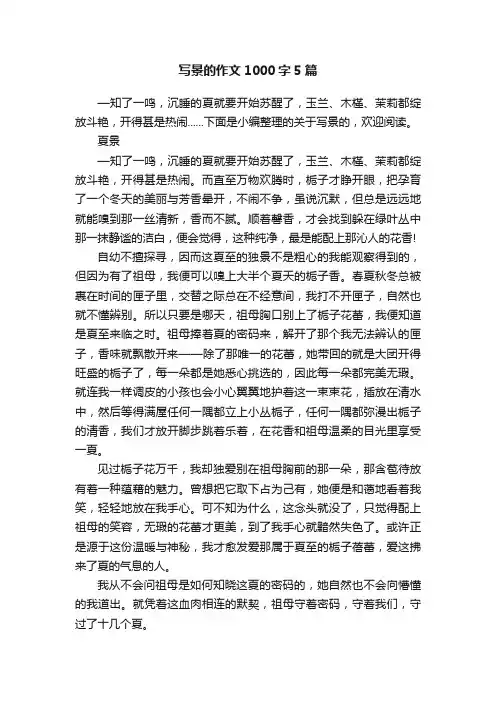 写景的作文1000字5篇