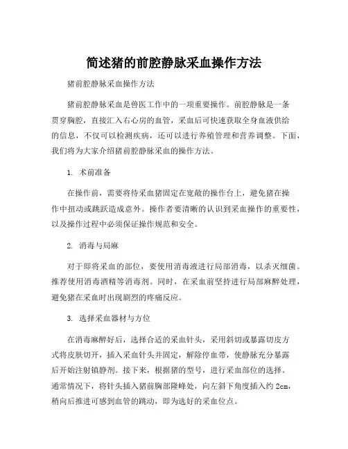 简述猪的前腔静脉采血操作方法
