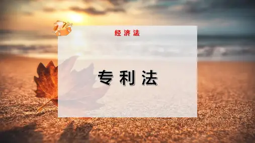专 利 法PPT模板