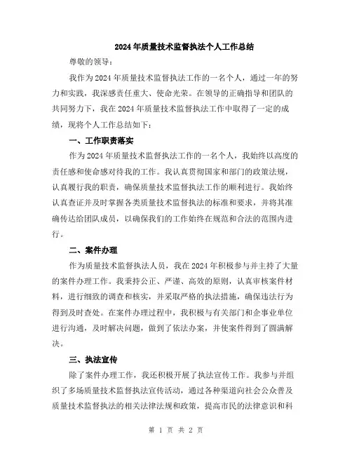 2024年质量技术监督执法个人工作总结