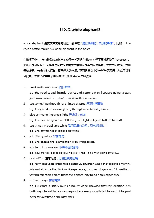 什么是white elephant？