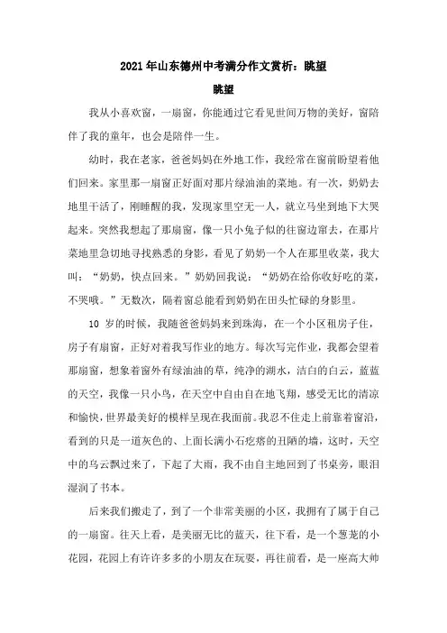 2021年山东德州中考满分作文赏析：眺望