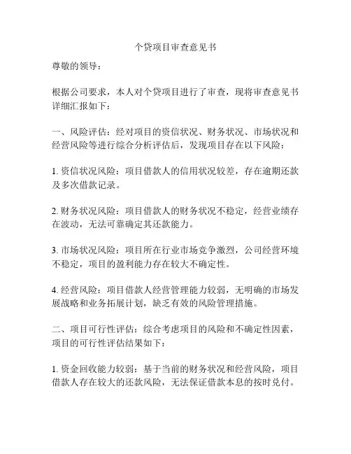 个贷项目审查意见书