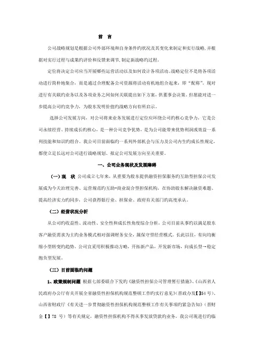 公司自我定位及战略发展专题方案