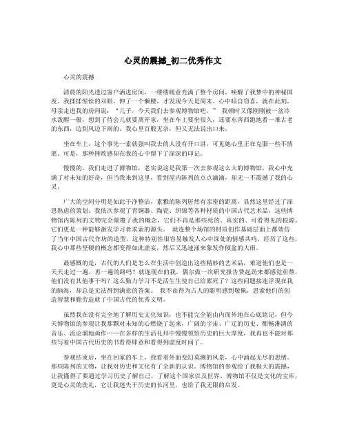 心灵的震撼_初二优秀作文