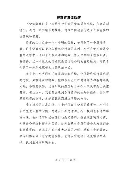 智慧背囊读后感