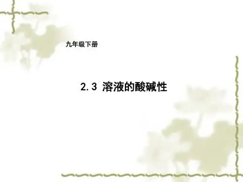 鲁教版(五四)化学九年级8.3《溶液的酸碱性》ppt课件4