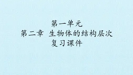 冀少版七年级生物上册：第二章  生物体的结构层次  复习课件