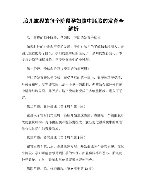 胎儿旅程的每个阶段孕妇腹中胚胎的发育全解析