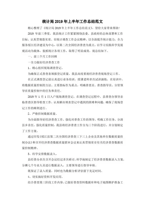 最新-统计局2019年上半年工作总结范文 精品
