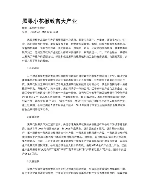 黑果小花楸致富大产业