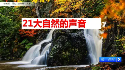 部编版三年级上册语文21《大自然的声音》优秀课件