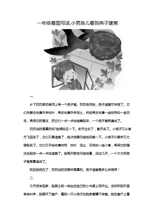 一年级看图写话,小男孩儿看到燕子建窝