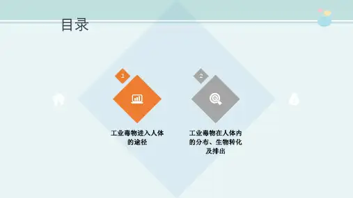 煤化工技术专业《工业毒物进入人体的途径PPT》