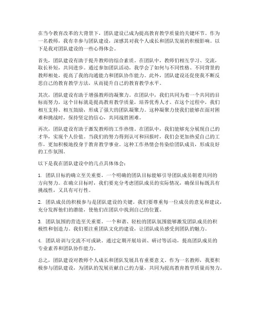 团队建设对教师心得体会