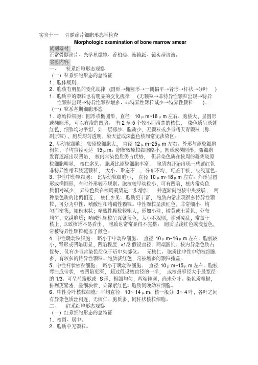 骨髓涂片细胞形态学检查