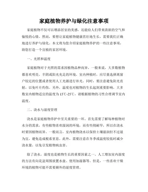 家庭植物养护与绿化注意事项