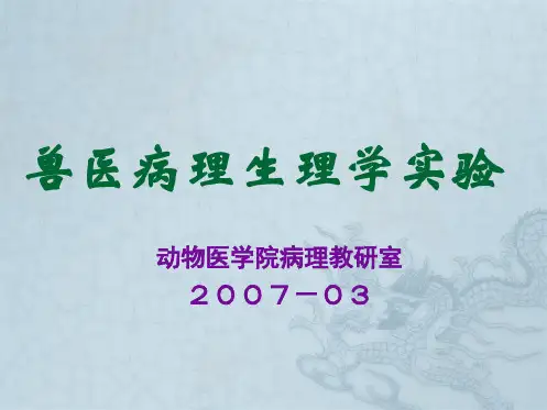 病理生理学实验一(完整)