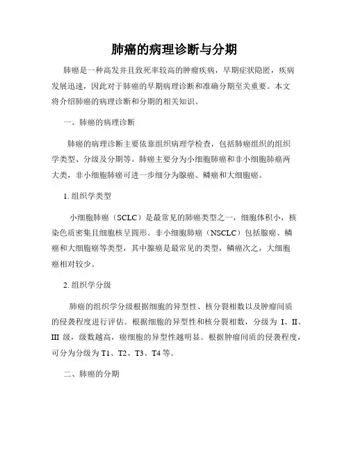 肺癌的病理诊断与分期