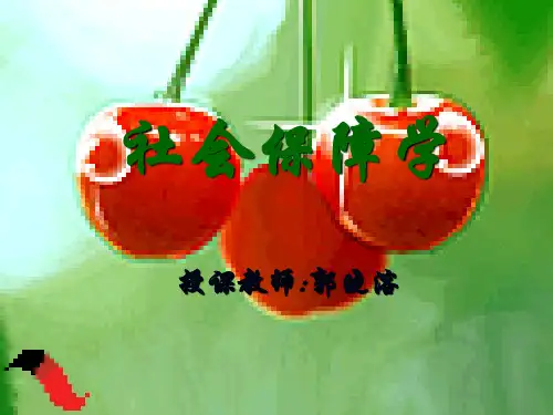 社会保障学教案