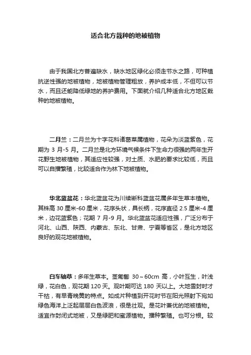 适合北方栽种的地被植物