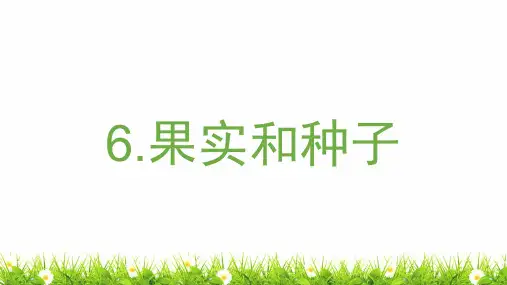 【新编】最新教科版小学四年级科学下册《果实和种子》精品课件