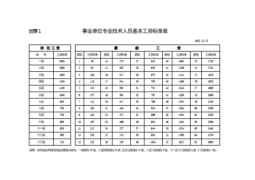 事业单位专业技术人员工资标准表