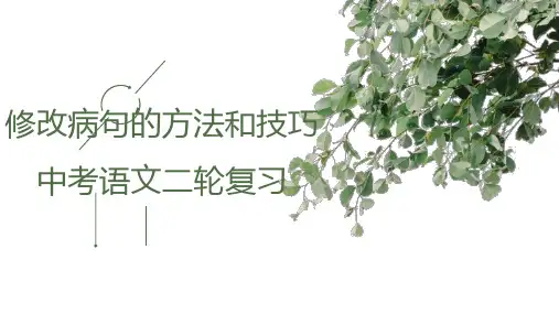 202X年 2024届中考语文第二轮专题复习——修改病句的方法和技巧 教学PPT课件