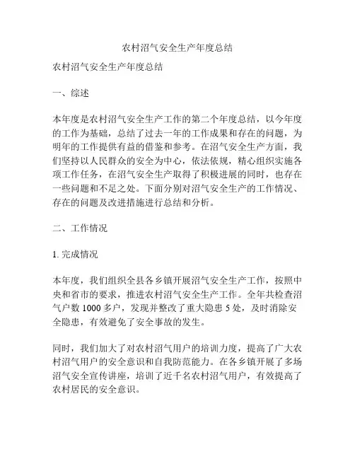 农村沼气安全生产年度总结