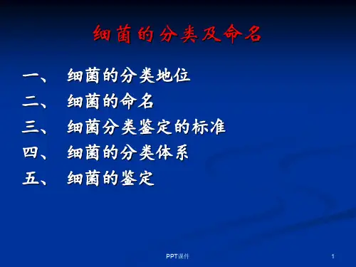细菌的分类及命名  ppt课件