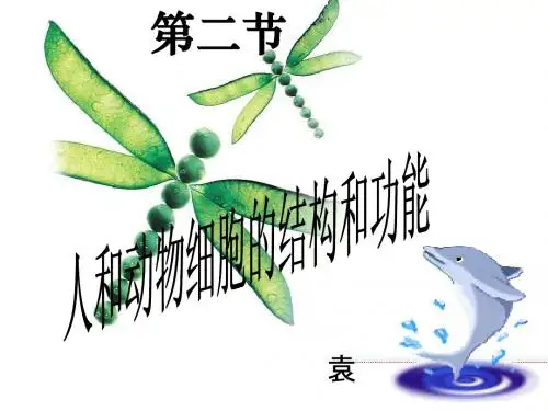3-2.人和动物细胞的结构和功能 PPT课件