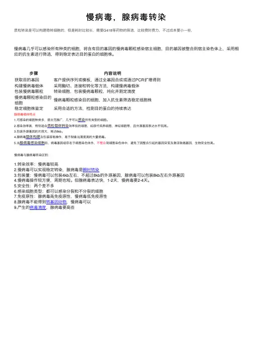 慢病毒，腺病毒转染