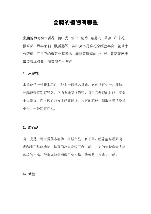 会爬的植物有哪些