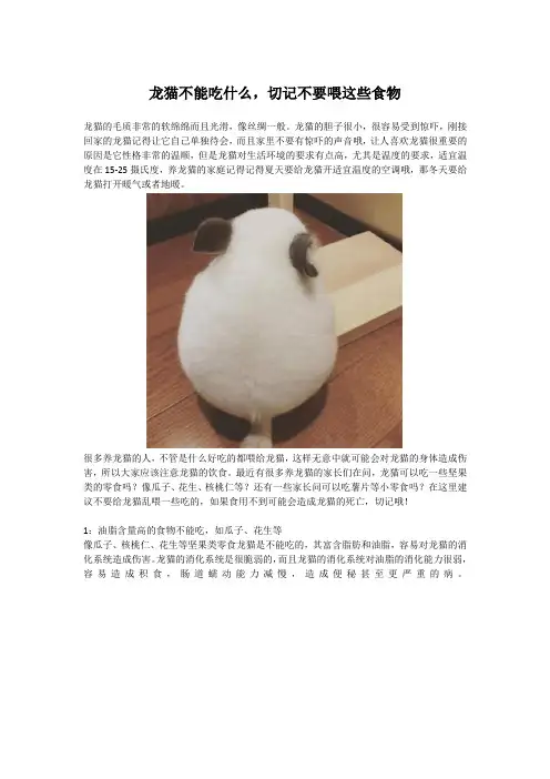 龙猫不能吃什么,切记不要喂这些食物