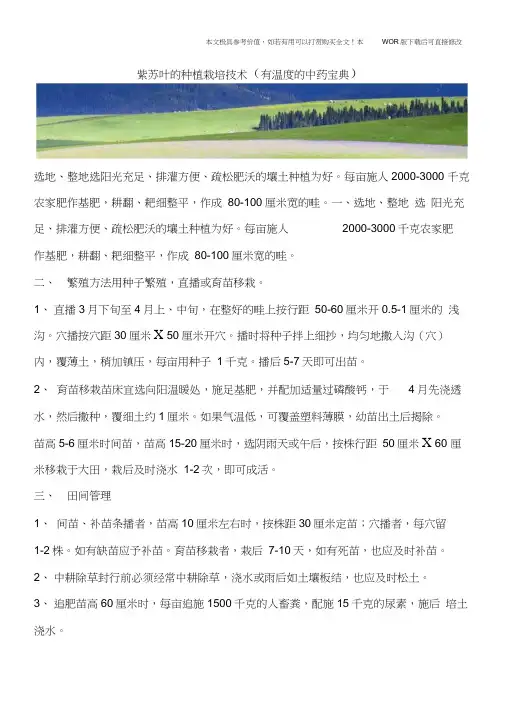 紫苏叶的种植栽培技术(有温度的中药宝典)