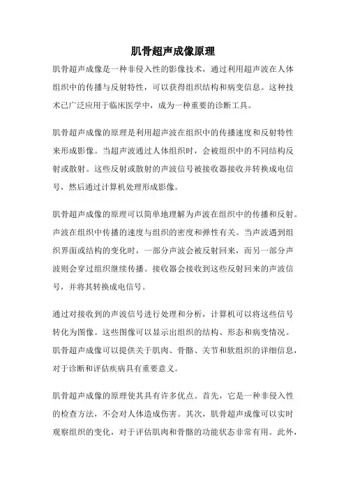 肌骨超声成像原理