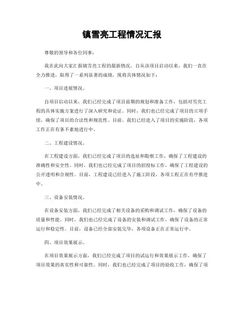 镇雪亮工程情况汇报