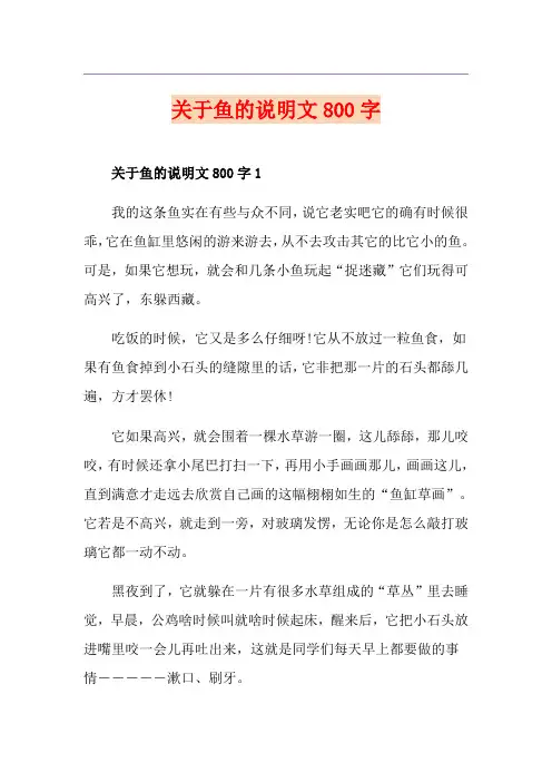 关于鱼的说明文800字