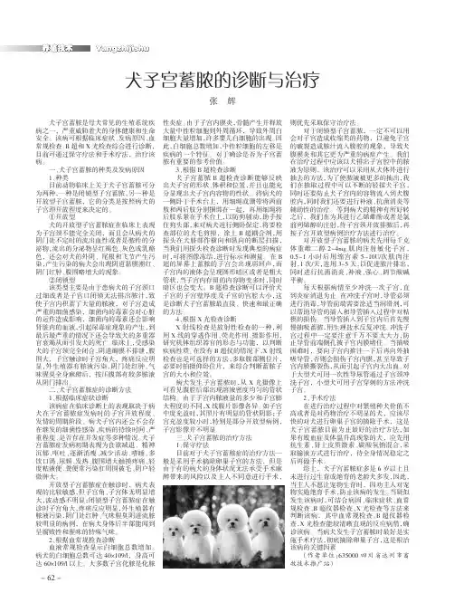 犬子宫蓄脓的诊断与治疗