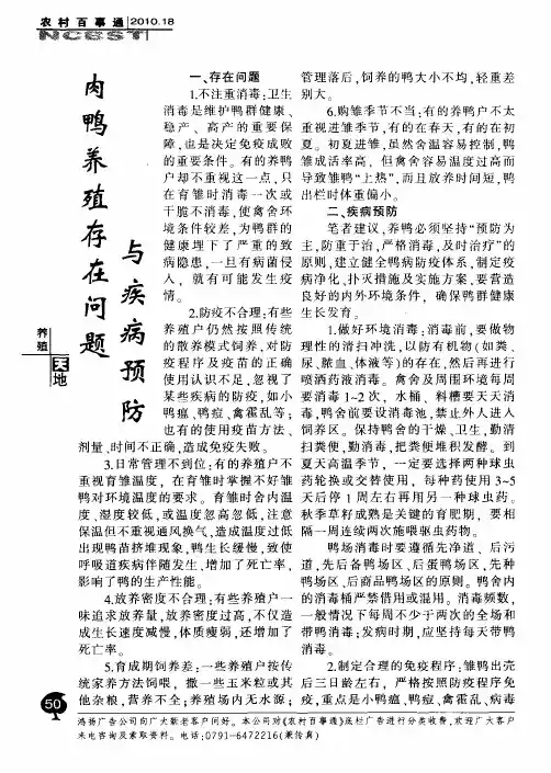 肉鸭养殖存在问题与疾病预防