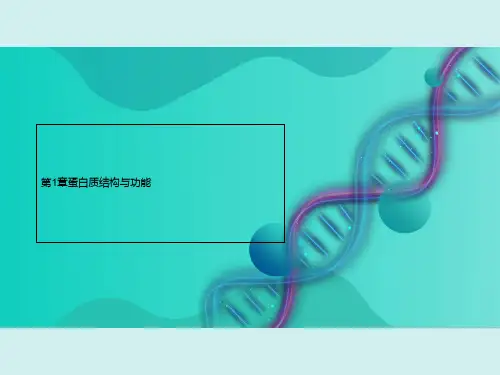 第1章蛋白质结构与功能