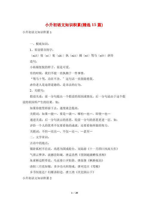 小升初语文知识积累(精选15篇)
