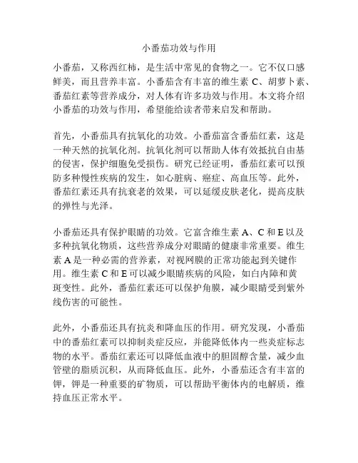 小番茄功效与作用