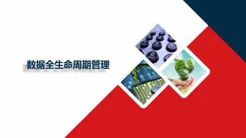数据生命周期管理